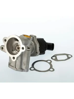 Top Prodej AGR-Ventil BorgWarner 710773D/1