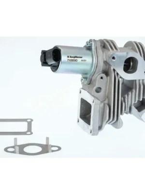 AGR-Ventil BorgWarner 710959D Cenově Výhodný