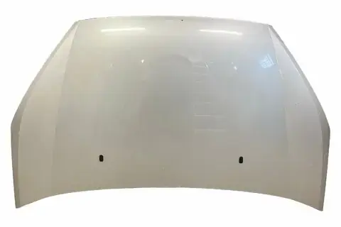 Akce Kapota motoru -2010 P6M21-U16610-AD