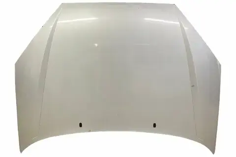 Akční Nabídka Kapota motoru PXS41-A16610-CA