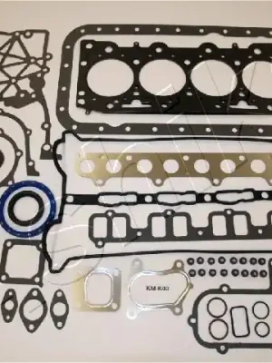 Dokud Zásoby Vydrží Kompletní sada těsnění, motor ASHIKA 490KK03