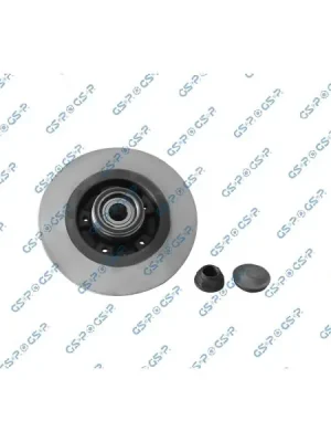 Brzdový kotouč GSP 9230138K Top Prodej