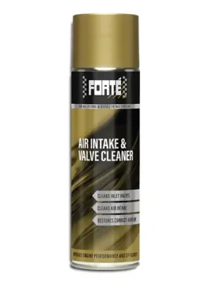 Forte J09410 Čistič sání vzduchu a ventilů 500ml Nová Kolekce