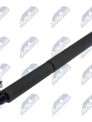 Omezená Nabídka Elektromotor, zadní dveře NTY AE-SK-025