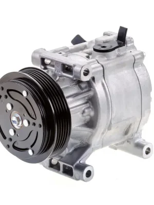 Přímo Od Výrobce Kompresor, klimatizace DENSO DCP09061