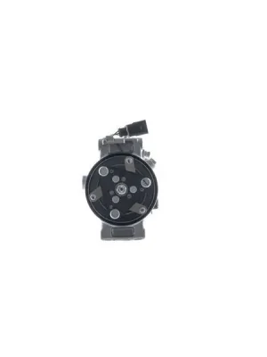 Doprava Zdarma Kompresor, klimatizace MAHLE ACP 1545 000P