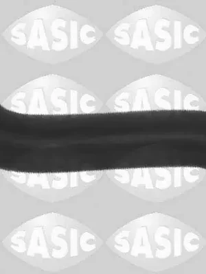 Hadička plnicího vzduchu SASIC 3336108 Nejlepší Cena