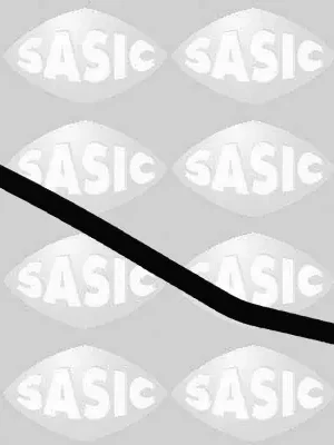 Pouze Dnes Hadice chladiče SASIC 3404060