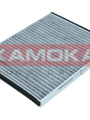 Časově Omezené Filtr, vzduch v interiéru KAMOKA F514901