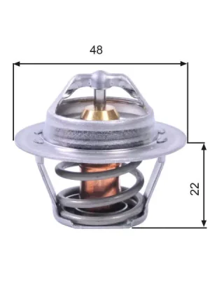 Must-Have Termostat, chladivo GATES TH00391G1