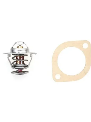 Jen Po Omezenou Doba Termostat, chladivo MAHLE TX 469 83D
