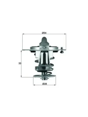 Termostat, chladivo MAHLE TX 72 85D Objednat Nyní