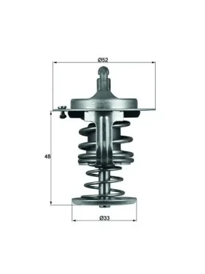 Termostat, chladivo MAHLE TX 82 80D Dokud Zásoby Vydrží
