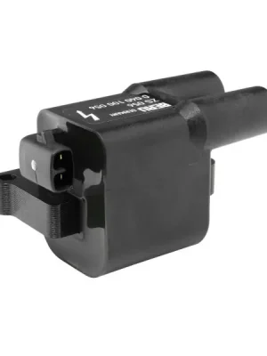 Autentický Zapalovací cívka BorgWarner (BERU) ZS056