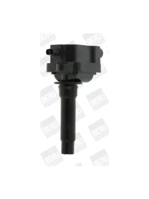Zapalovací cívka BorgWarner (BERU) ZS434 Víkendová Akce
