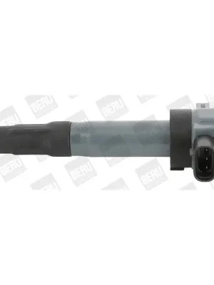 Expresní Doručení Zapalovací cívka BorgWarner (BERU) ZSE189